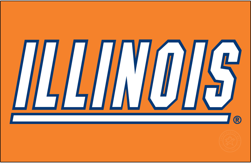 Illinois Fighting Illini 1995-2014 Primary Dark Logo DIY iron on transfer (heat transfer)